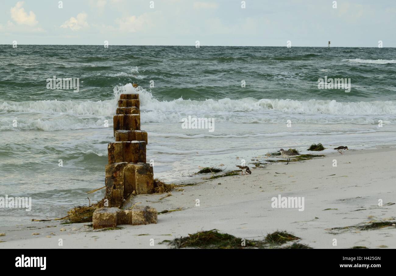 Matériel roulant en vagues lourdes sur de vieux piliers de ciment. Banque D'Images