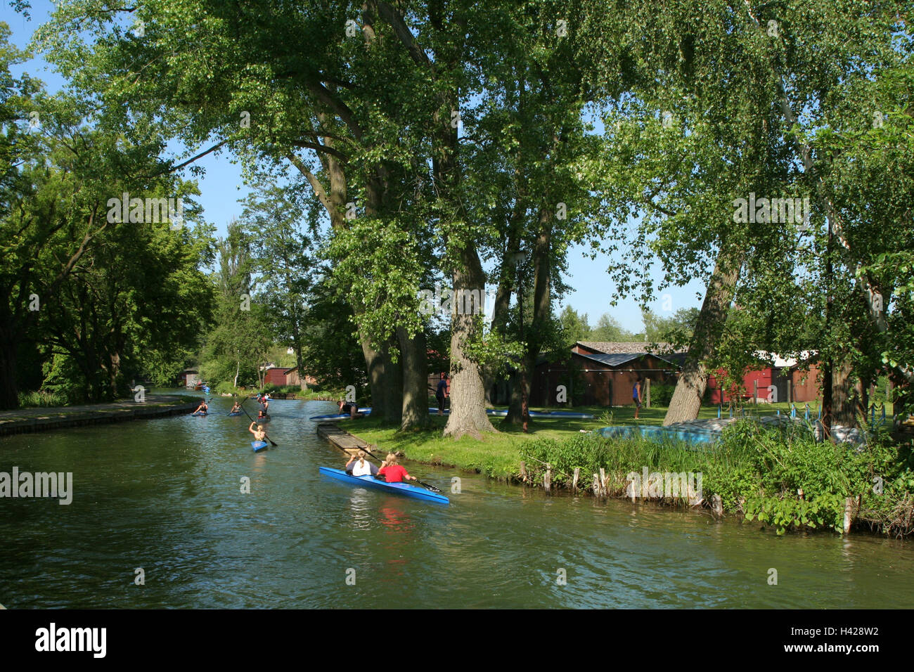 Allemagne, Neubrandenburg, Upper Brook, canoe, conducteur Banque D'Images