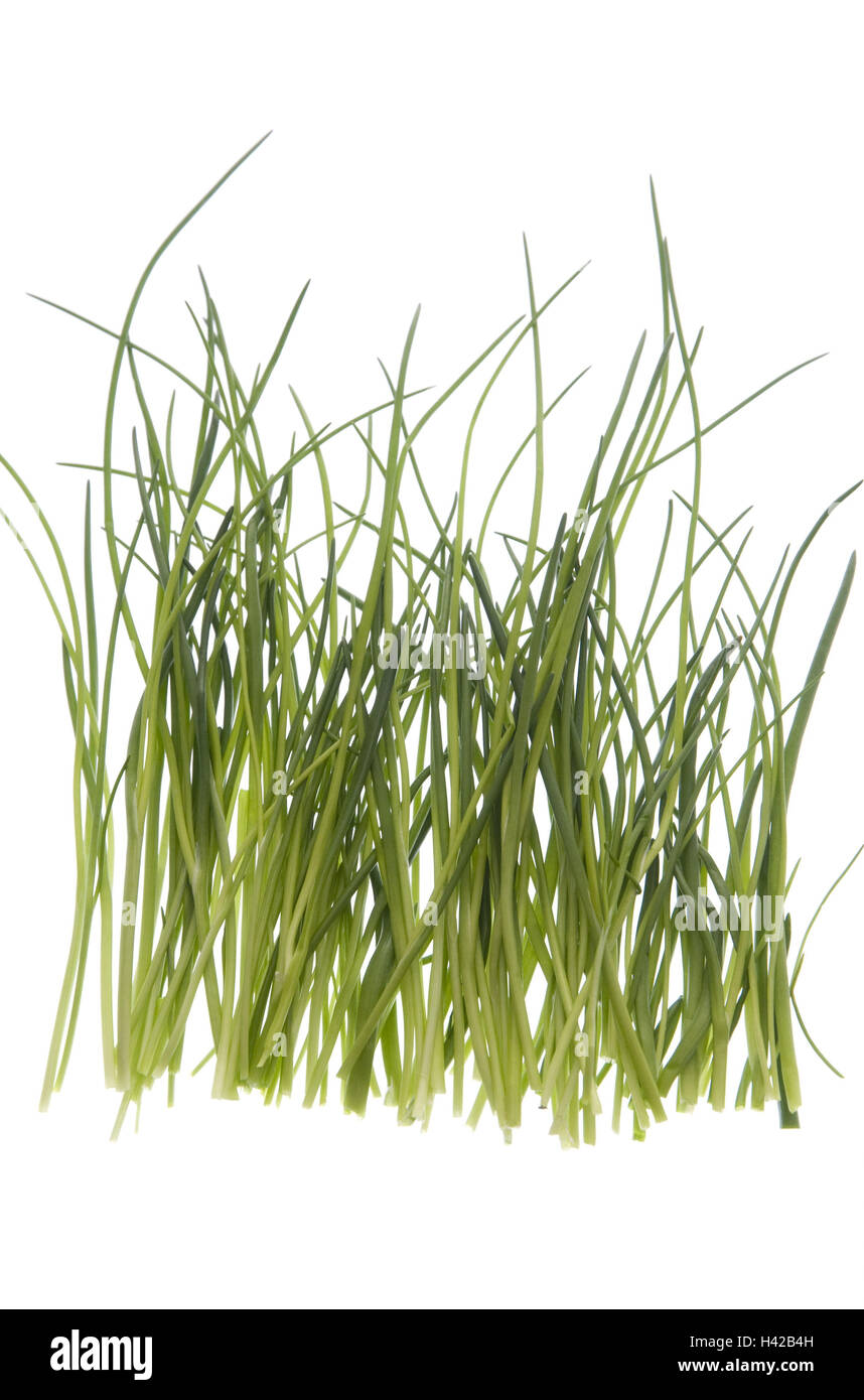 La ciboulette, cut out, Banque D'Images