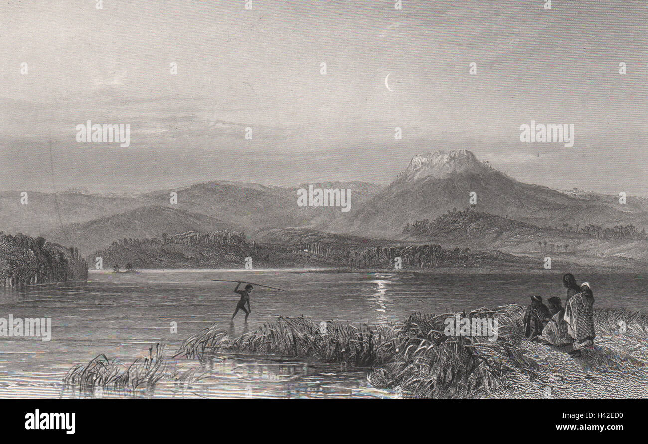 'Tom Pouce Lagoon [Lake Illawarra], Nouvelle Galles du Sud'. Stand/PROUT. , C1874 Banque D'Images