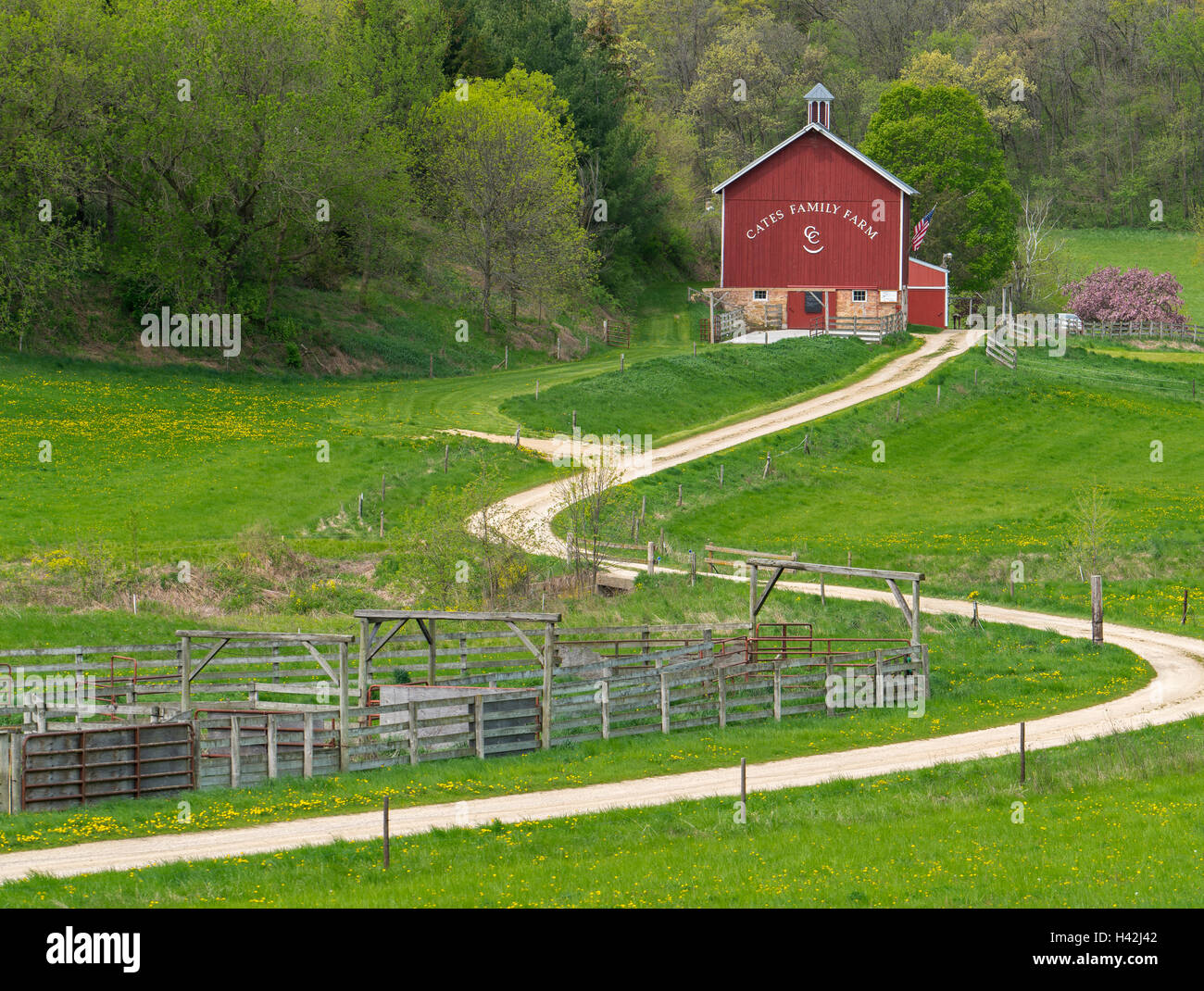 L'Iowa County, Wisconsin : Curving gravier mène à la grange Cates (1893), début du printemps Banque D'Images