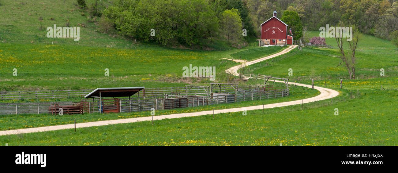 L'Iowa County, Wisconsin : Curving gravier mène à la grange Cates (1893), début du printemps Banque D'Images