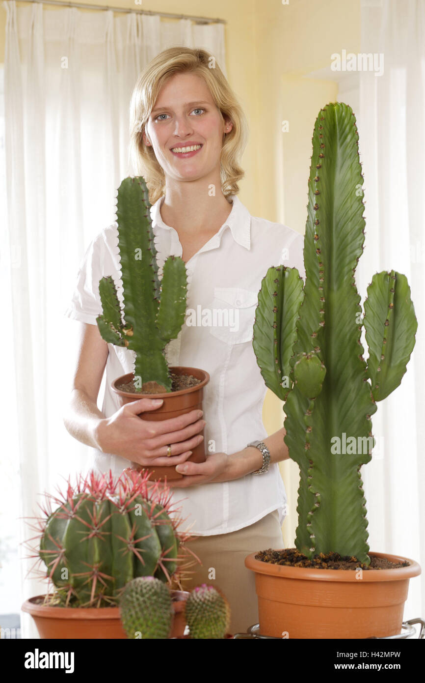 Femme, jeune, les plantes d'intérieur, de l'euphorbe ésule, cactus,  présent, fièrement, télévision, chambre, décoration, plantes, plantes  ornementales, plantes en pot, pots de fleurs, plantes grasses, régulière,  point tenir, plantes grasses, cactus ...