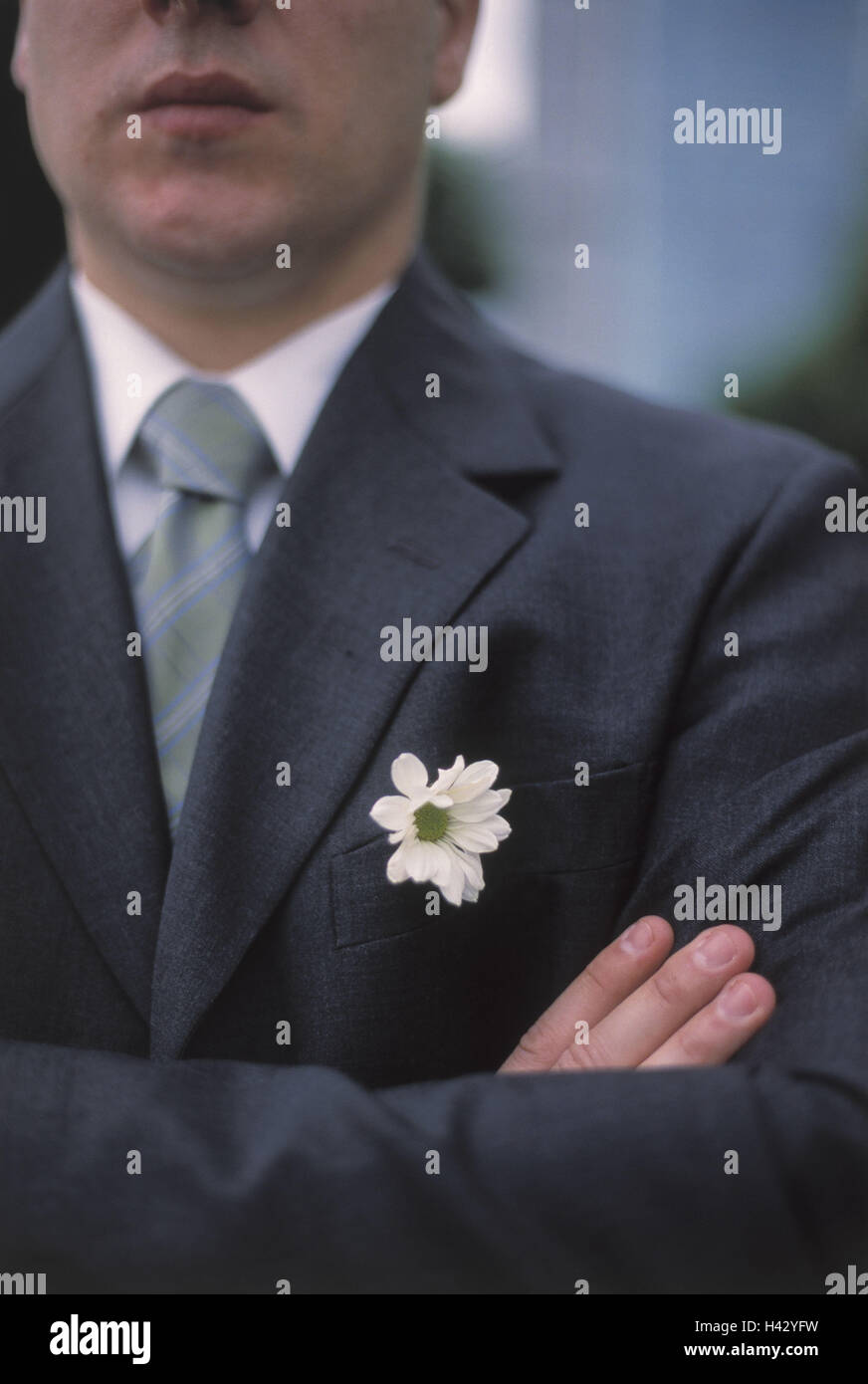 Businessman, les bras des croix, détail, boutonnière, fleur, homme, 30 ans, s'épanouir, de la confiance en soi, confiance en soi, la détermination, le succès, au sérieux, le sérieux, la constance, la persévérance, l'alimentation Banque D'Images