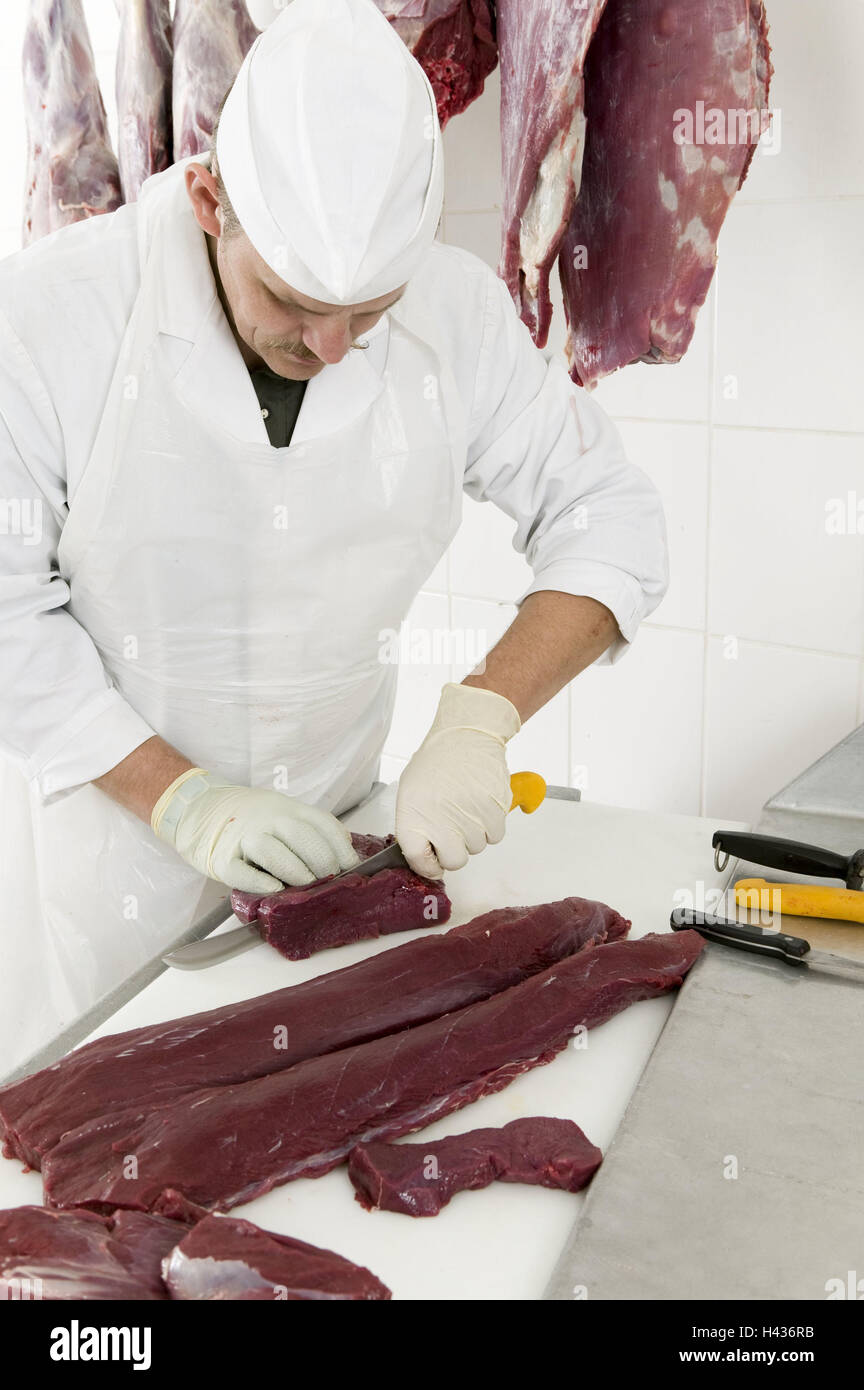 Butcher, de chevreuils, de raccordement, des gants en caoutchouc, la viande, la coupe, le couteau, l'hygiène, boucherie, red deer, cerf, boucher, jeu, matières premières, préparation, homme, profession, travail, gants, jeu, refroidissement, cool store, règlements sanitaires, morceau de rôti, rôti de chevreuil, p Banque D'Images