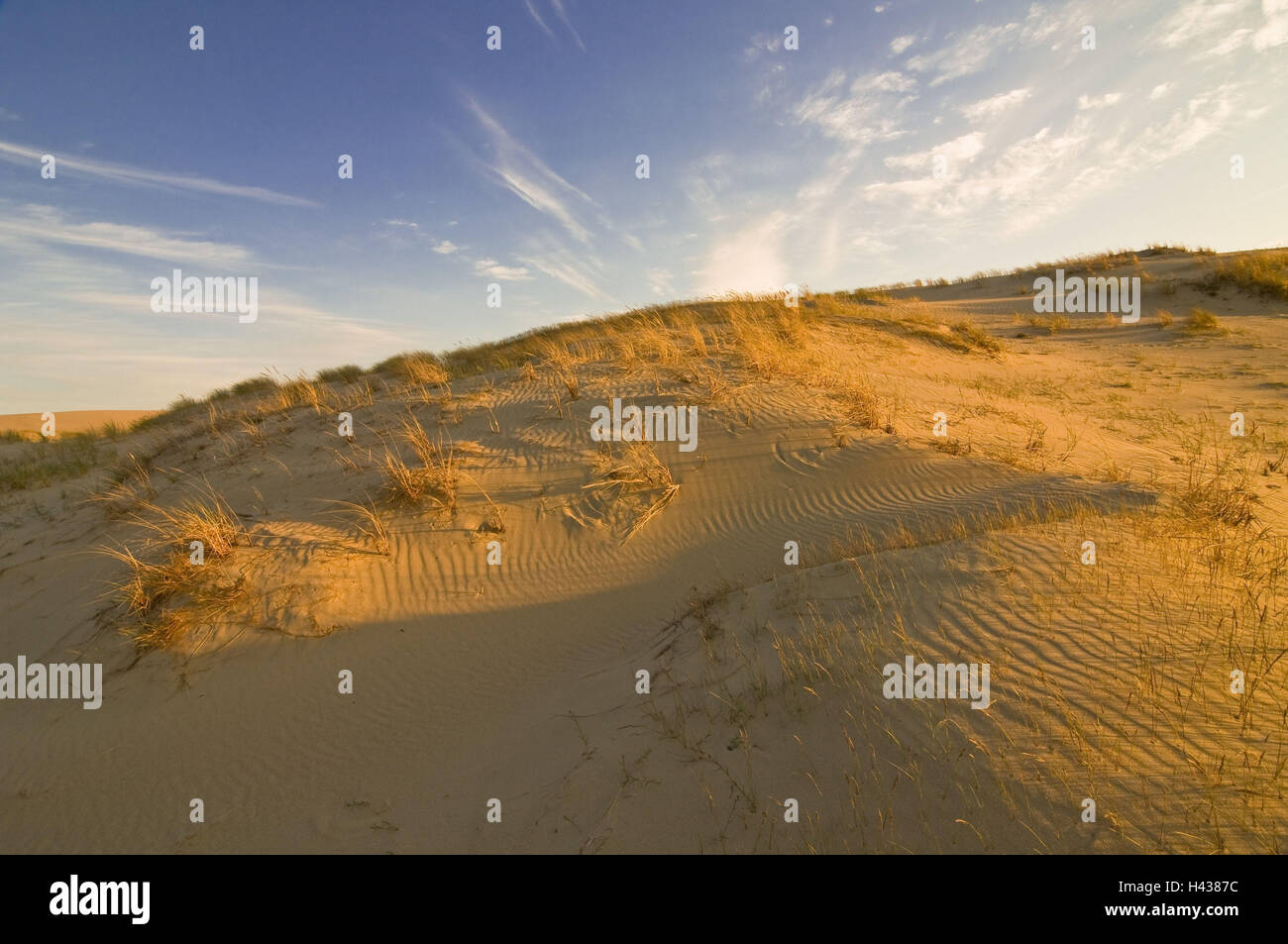 Dune de sable, dunes d'herbe, de la Lituanie, Nida, 'big', dunes national park health resort grand bay bar, lumière du soir, Banque D'Images