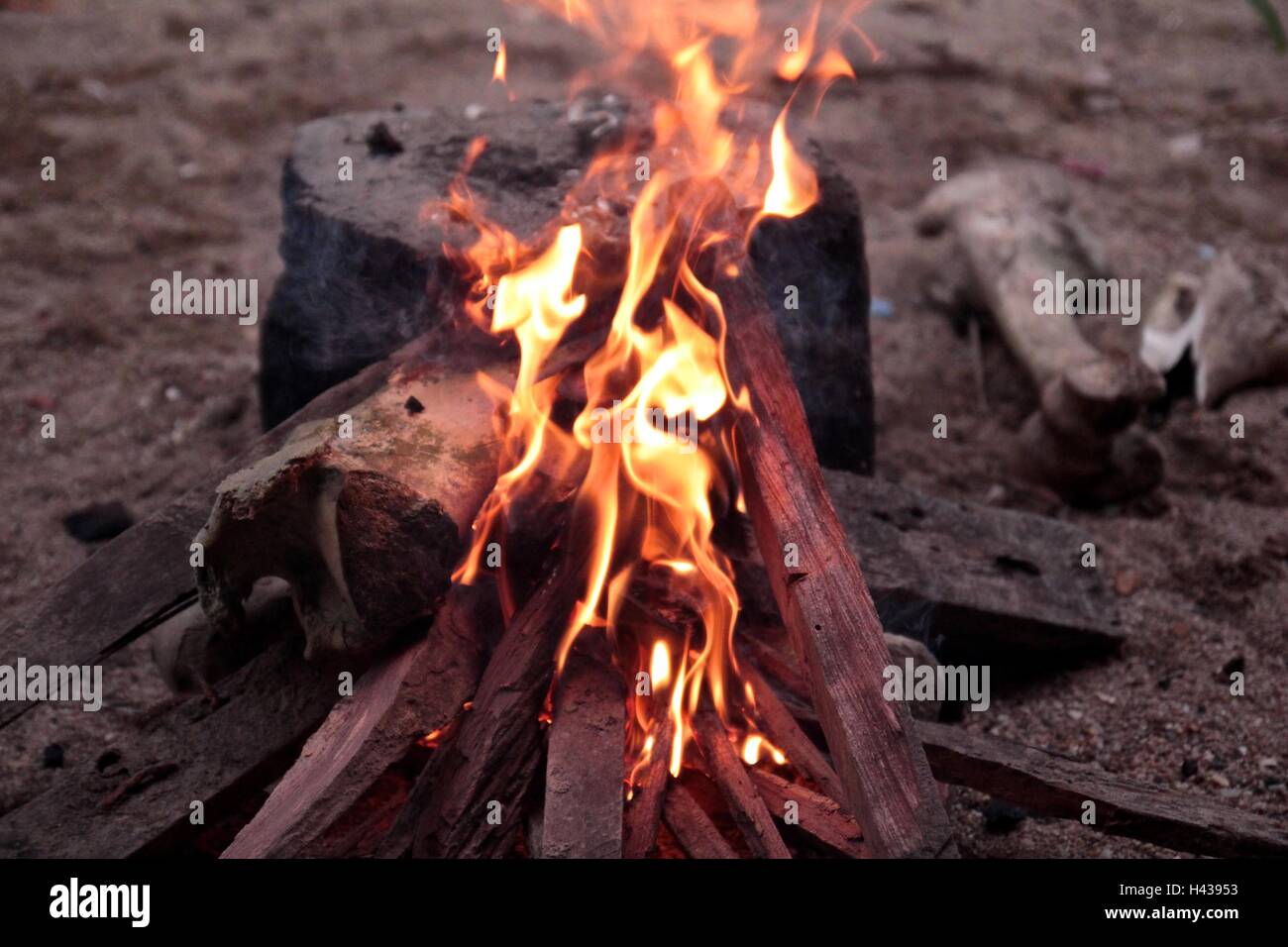 Bois de chauffage et en os d'animaux. connaissances rurales de la Thaïlande Banque D'Images