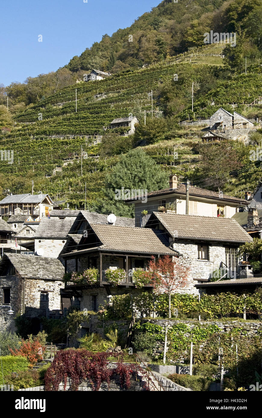 Suisse, Tessin, vallée de Verzasca, Vogorno, maison de village, vignobles, Banque D'Images