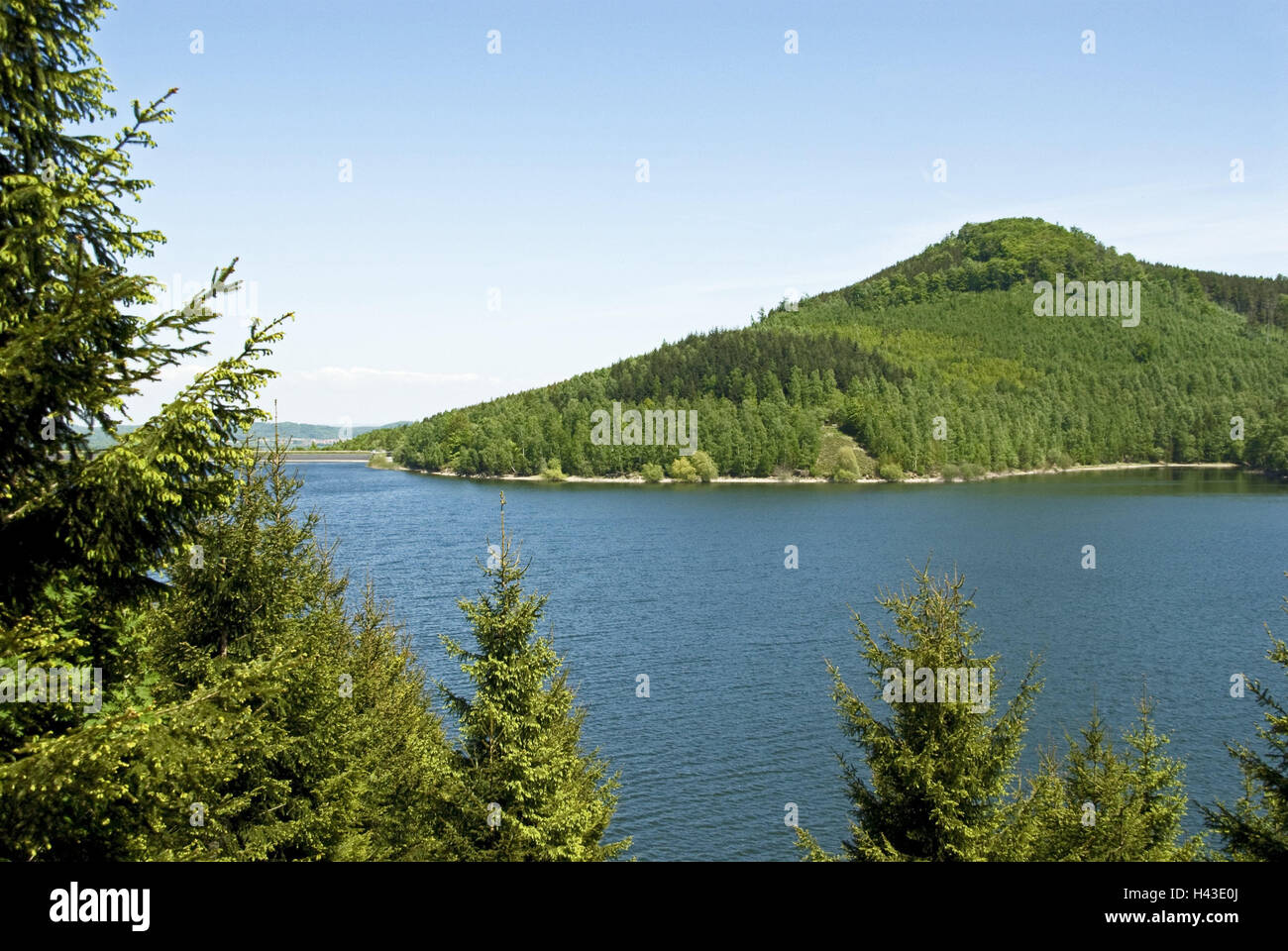 Allemagne, Basse-Saxe, Schleswig-Holstein, barrage du grain, de la gestion de l'eau, l'approvisionnement en eau potable, barrage, réservoir d'eau, l'eau, paysage, point d'intérêt, d'arbres, vue, Banque D'Images