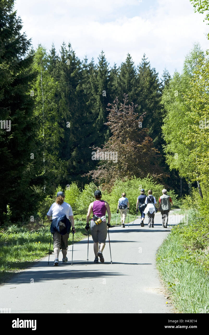 Allemagne, Basse-Saxe, résine, sentier, Wanderer, vue de dos, le modèle ne libération, personne, à l'extérieur, sport, marche, marche, motion, ensoleillée, Banque D'Images