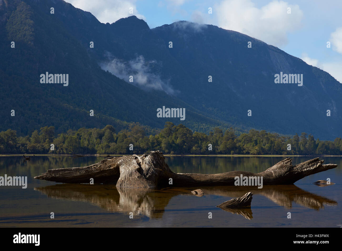 Lac Rosselot situé le long de la Carretera Austral dans la région d'Aysen du sud du Chili. Banque D'Images