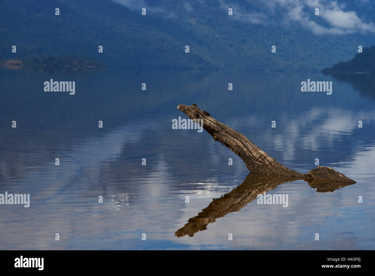 Lac Rosselot situé le long de la Carretera Austral dans la région d'Aysen du sud du Chili. Banque D'Images