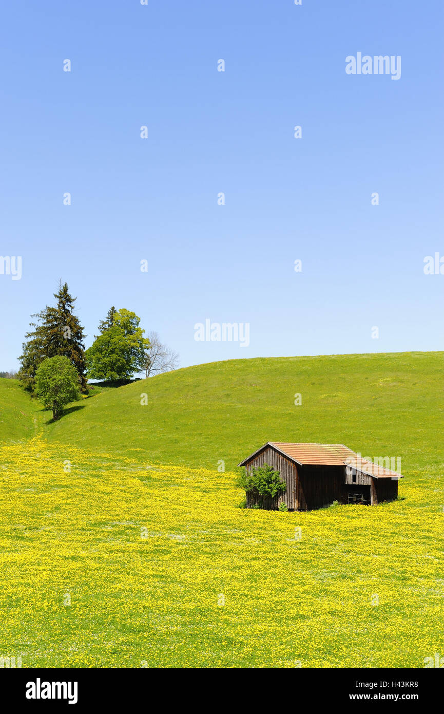 L'Allemagne, en Bavière, à l'Est de l'Allgäu, à proximité de paysages Füssen (ville), Banque D'Images