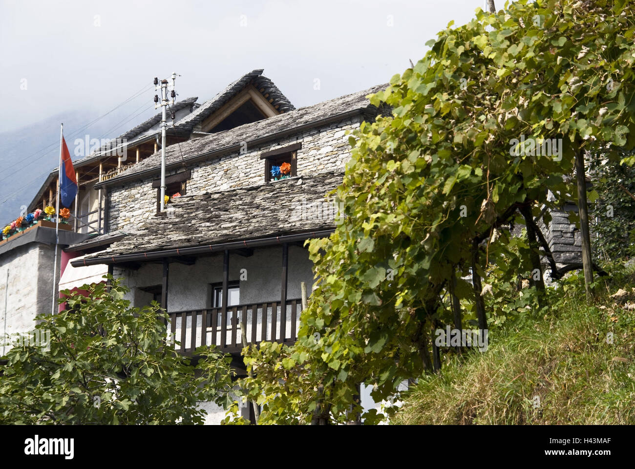 Suisse, Tessin, vallée de Verzasca, Vogorno, maison de village, montagne, Banque D'Images