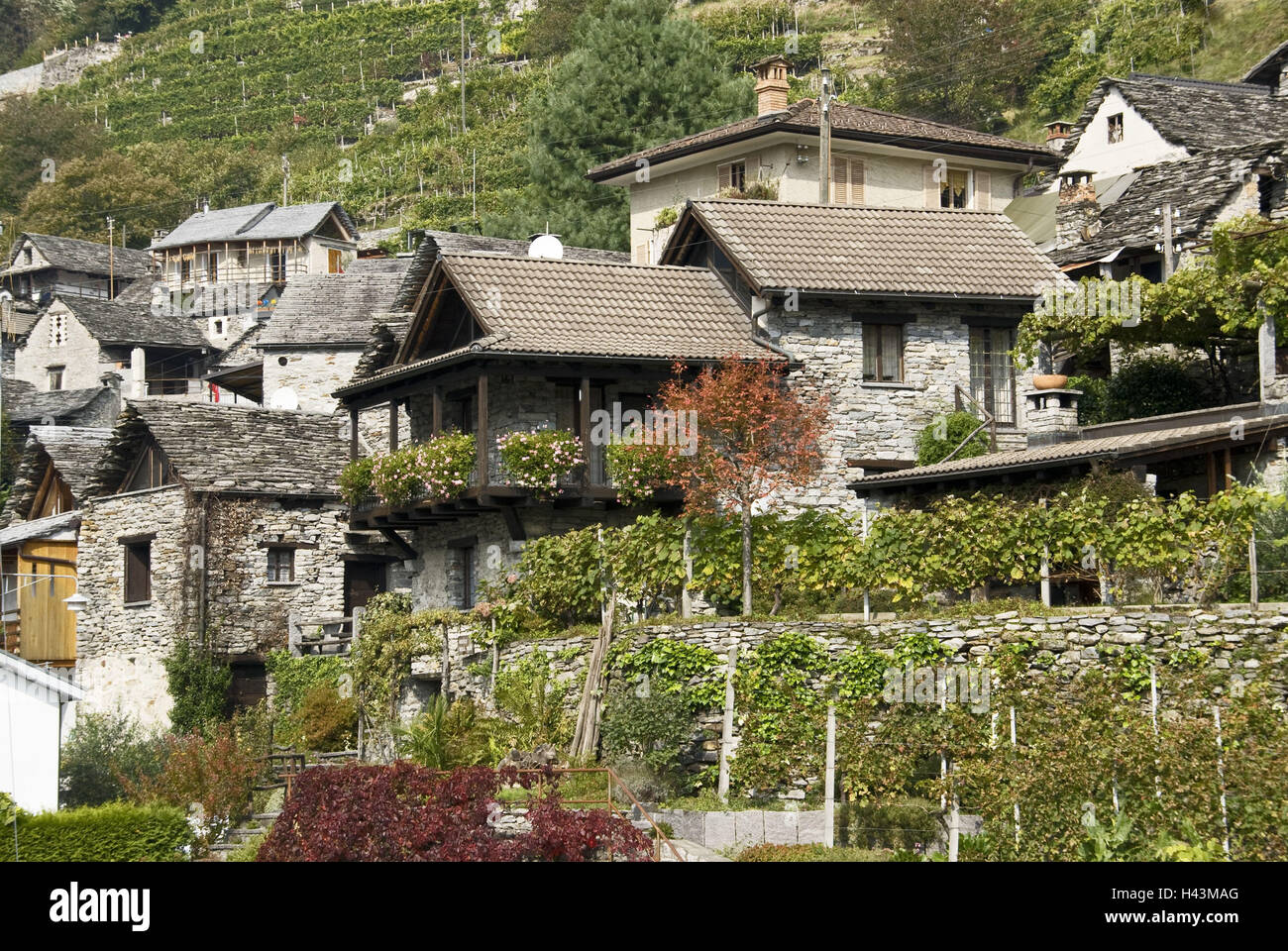 Suisse, Tessin, vallée de Verzasca, Vogorno, maison de village, montagne, Banque D'Images