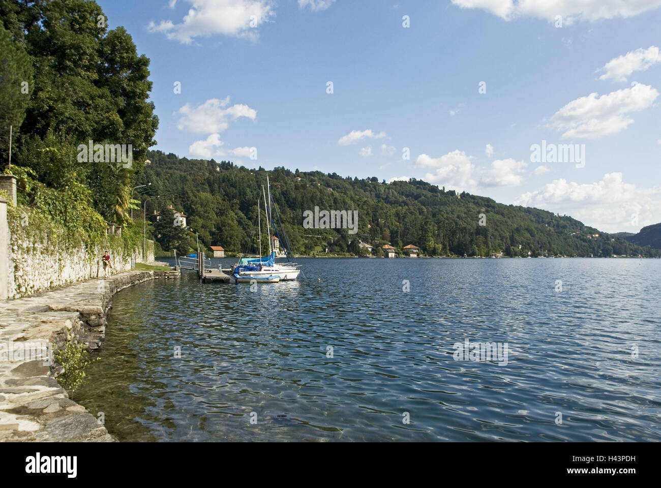 L'Italie, Lago d'Orte, lac, bois, Banque D'Images