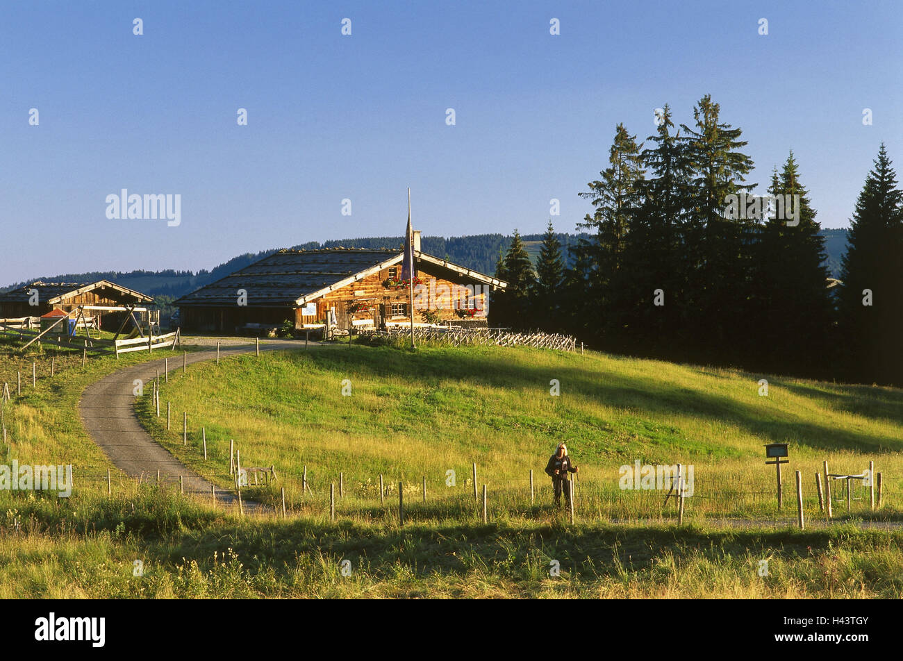 Allemagne, Berlin, Allgäu, Alp Gschwender, randonneur, Sud de l'Allemagne, Allgäu, destination, Voyage, tourisme, ALP, hutte, cabane de montagne, paysage, paysage de montagne, personne, le tourisme, à pied, Immenstadt (ville), Banque D'Images