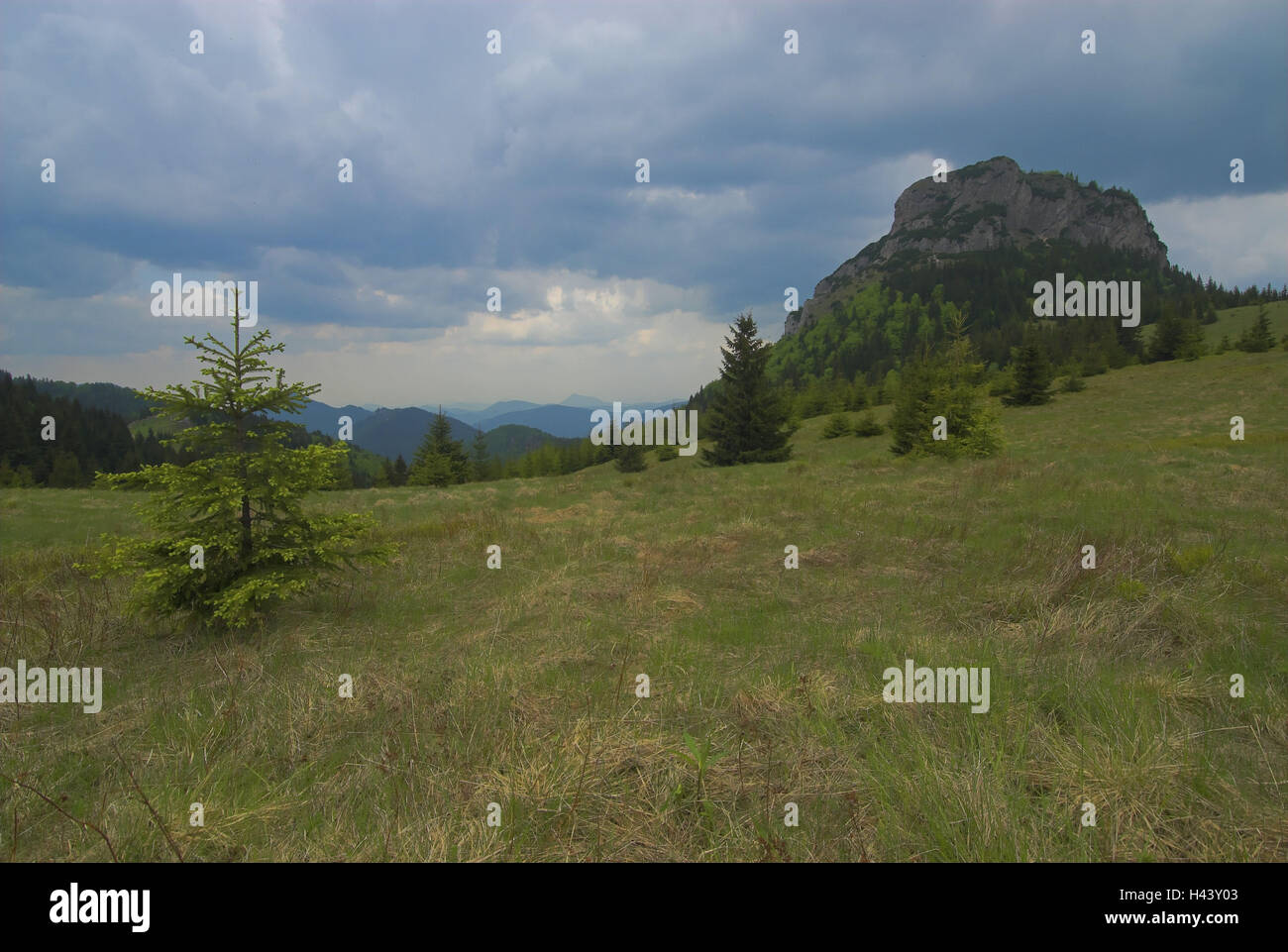 Col Medzirozsutce, paysage de montagne, place ý Rozsutec, Stefanova, parc national 'Mala Fatra', Zilina, Slovaquie, Banque D'Images