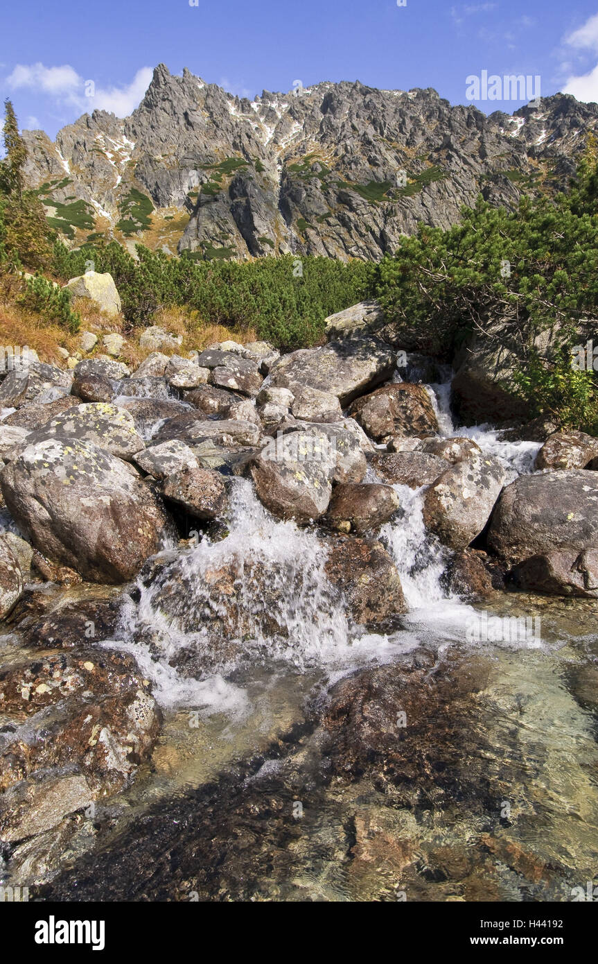 Ruisseau de montagne Hincov polok, falaise 'Voll hrabat', Strbske Pleso, le parc national des Hautes Tatras, Presovsky kraj, Slovaquie, Banque D'Images