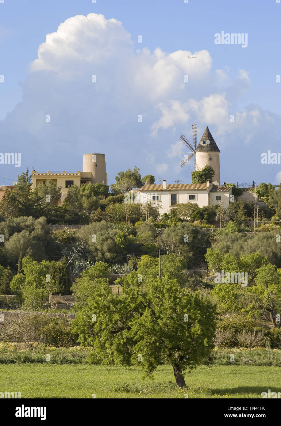 L'Espagne, les îles Baléares, Majorque, l'île de Santa Eugenia, vue locale, Banque D'Images