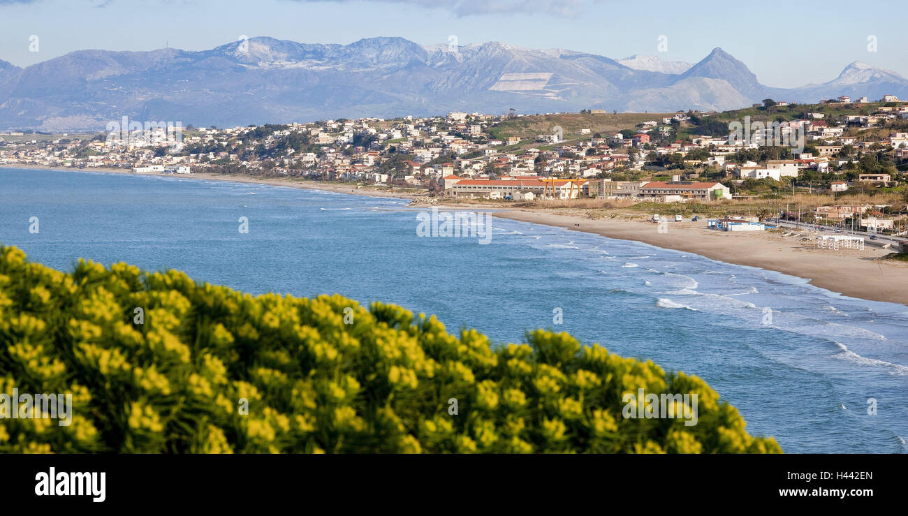 Italie, Sicile, Castellammare del Golfo,, littoral, plage, l'Europe, le Sud, l'Europe, montagne, montagnes, paysages côtiers, paysages, mer, la mer Méditerranée, lieux, plage de sable, l'eau, vagues, vue, fleurs, fleurs, jaune, Banque D'Images