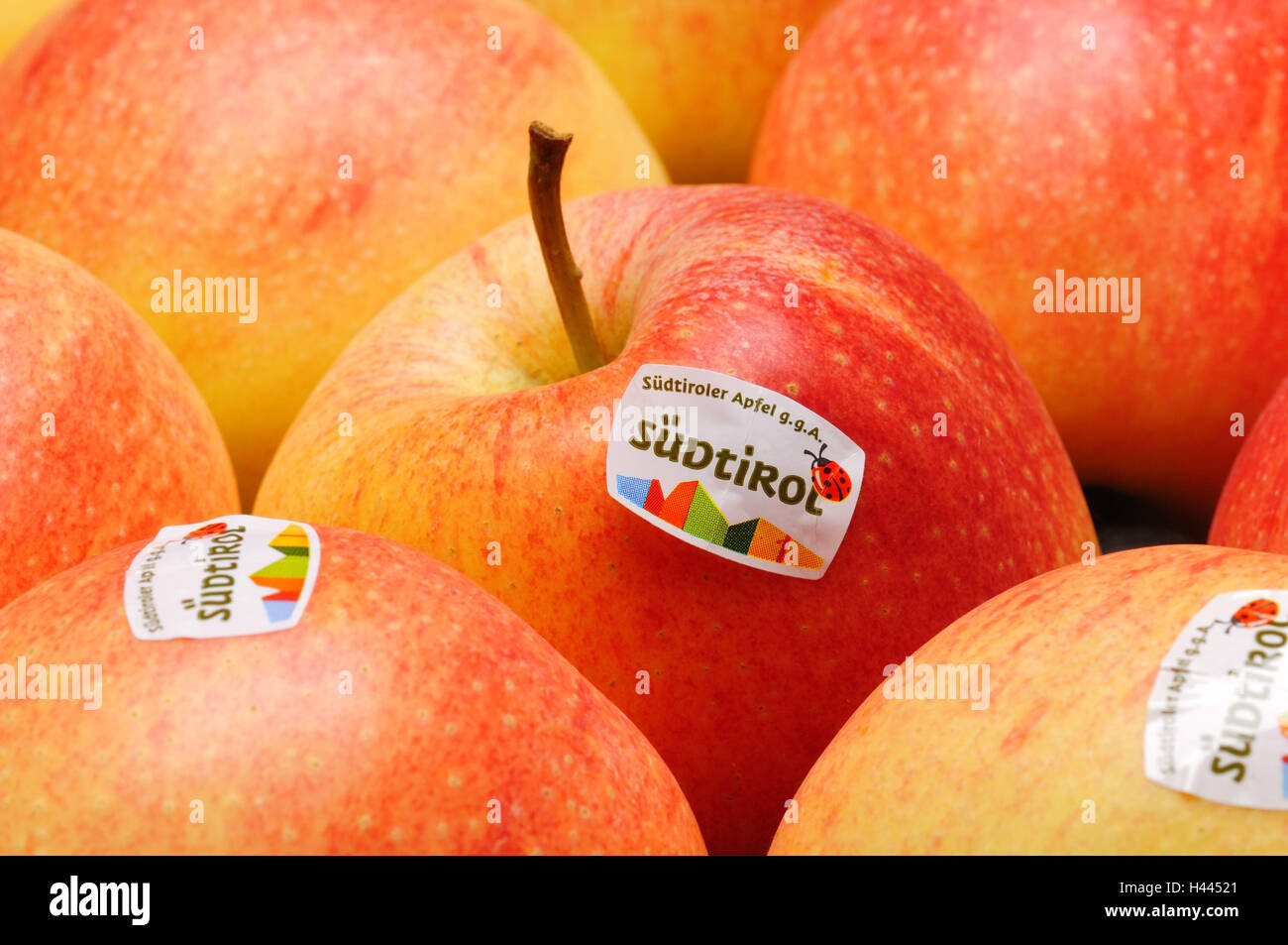 Les pommes, 'Jonah's gold', l'étiquette adhésive, le Tyrol du Sud, Banque D'Images