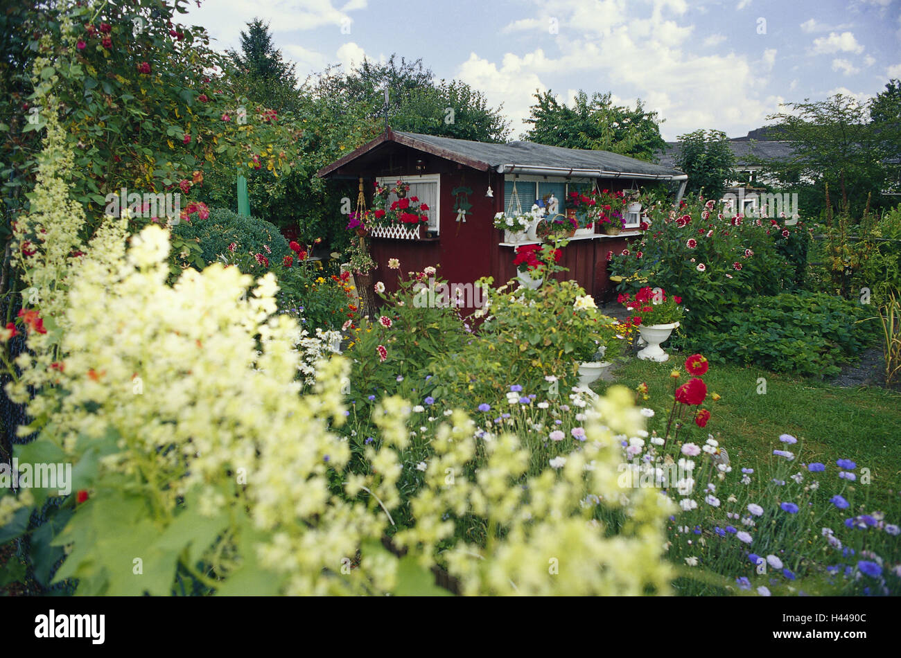 Spécial jardin, maisonnette de jardin, fleurs, blossom, Idyll, jewel, l'affectation, l'affectation, plante jardin, petite maison, plantes, plantes ornementales, loisirs, hobby, passe-temps, à l'extérieur, jardin, été, déserte Banque D'Images