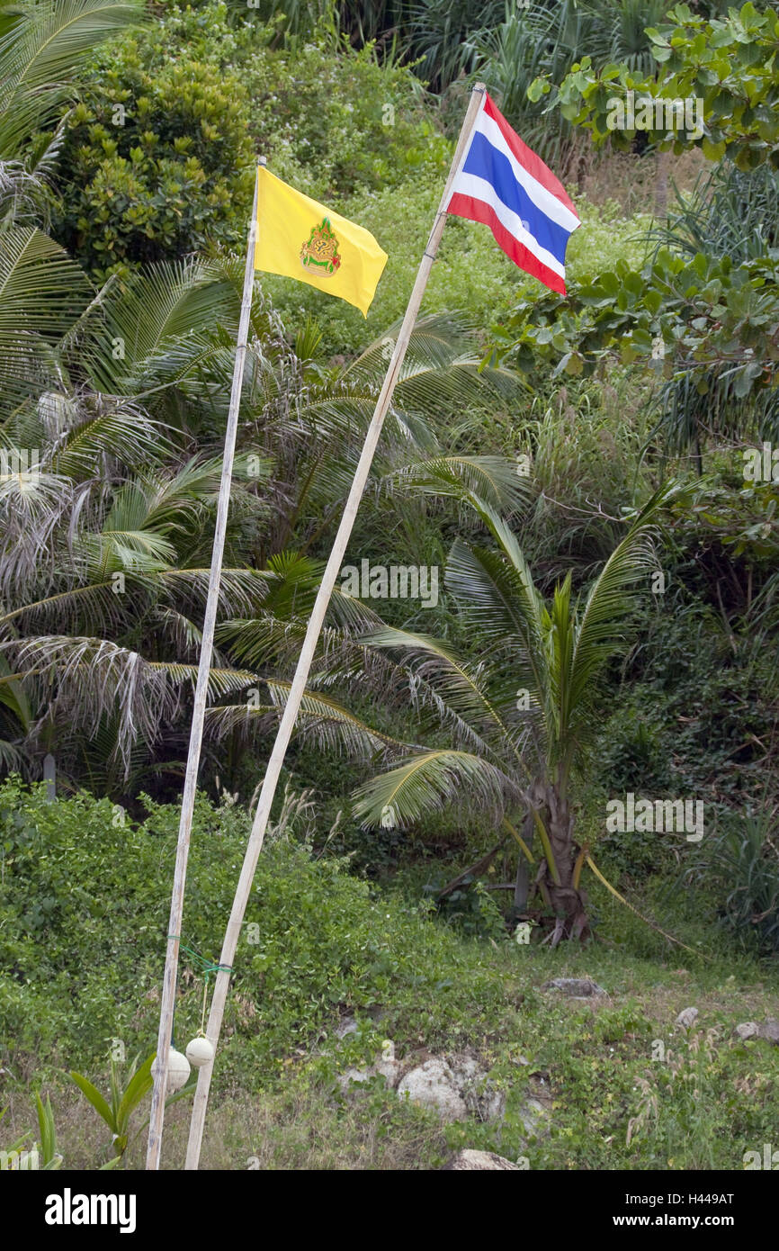 L'île de Phuket, Thaïlande, jungle, drapeau, pavillon du roi, Banque D'Images