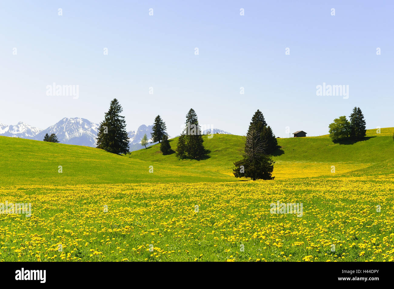 L'Allemagne, en Bavière, à l'Est de l'Allgäu, à proximité de paysages Füssen (ville), Banque D'Images