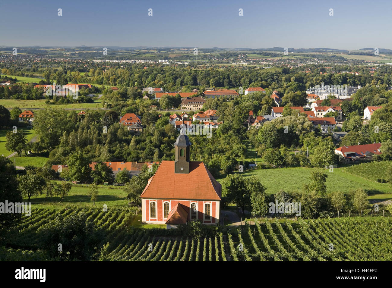 Allemagne, Saxe, Dresde, la vigne dans l'église, Pillnitz Banque D'Images