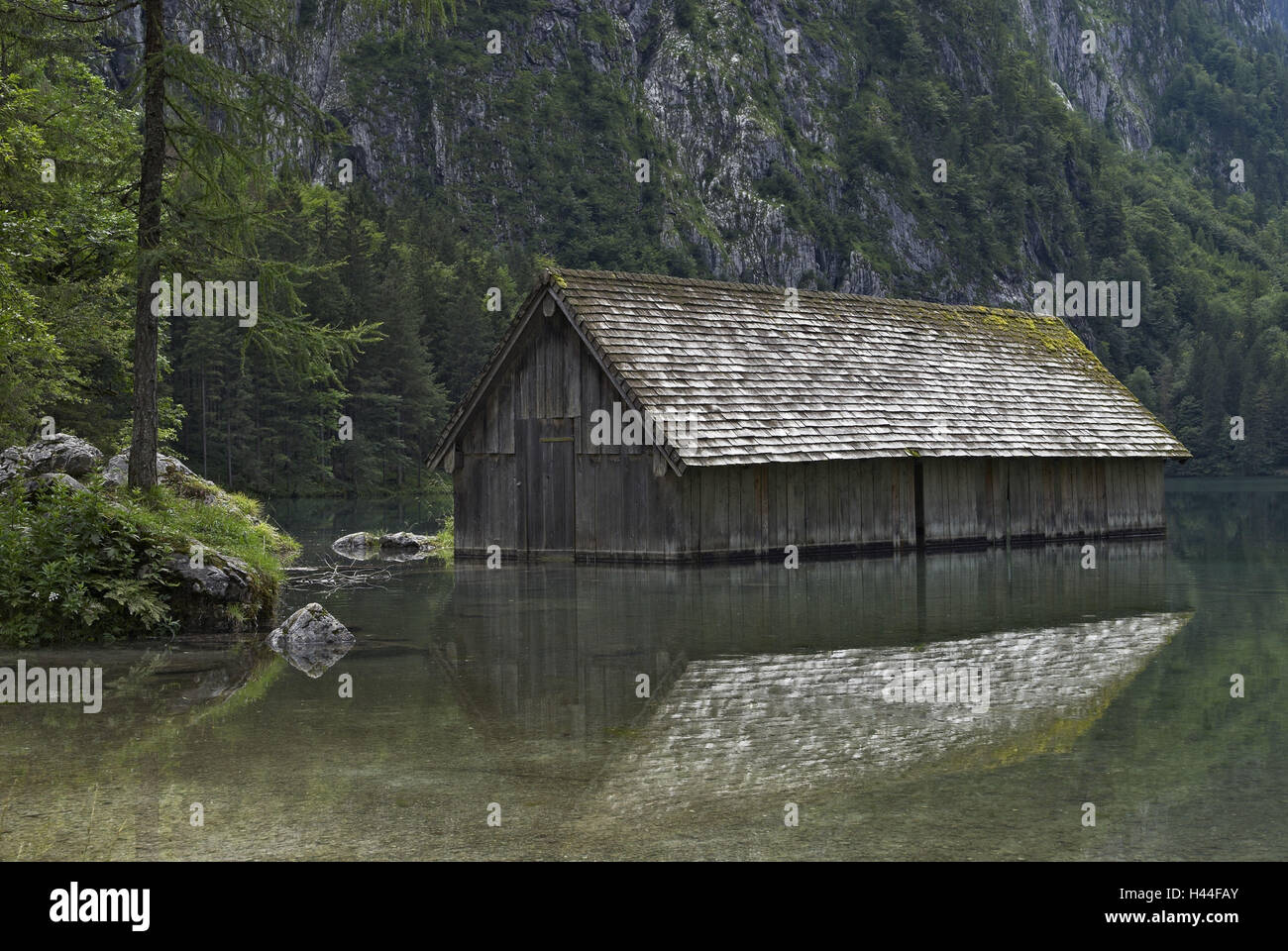 Lac, montagne, maison de bois, les arbres, l'eau, de la réflexion, de l'Origami, Berchtesgaden, Königssee, Obersee, Banque D'Images