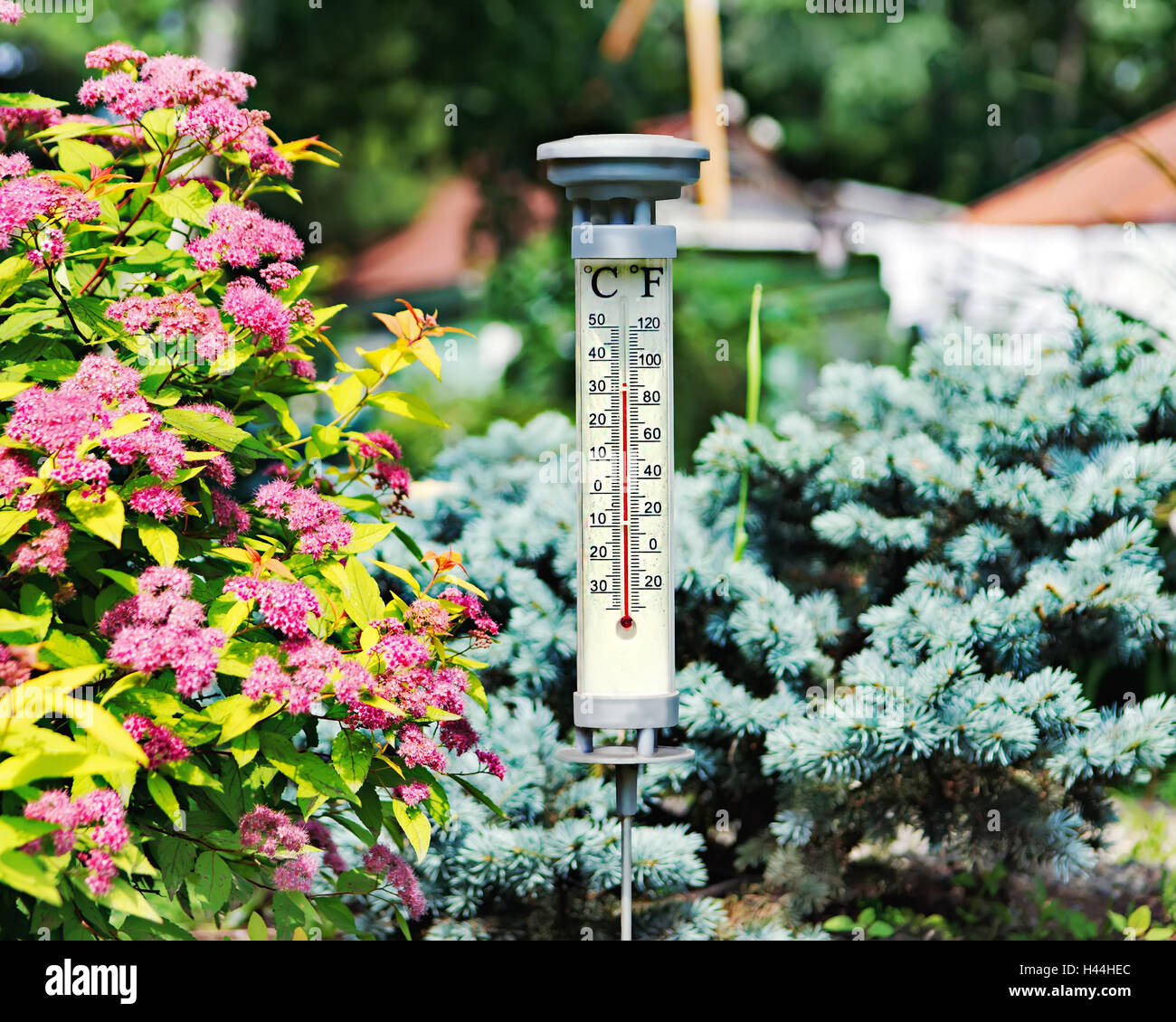 Thermomètre Extérieur Au Sol Dans Le Jardin Banque D'Images et