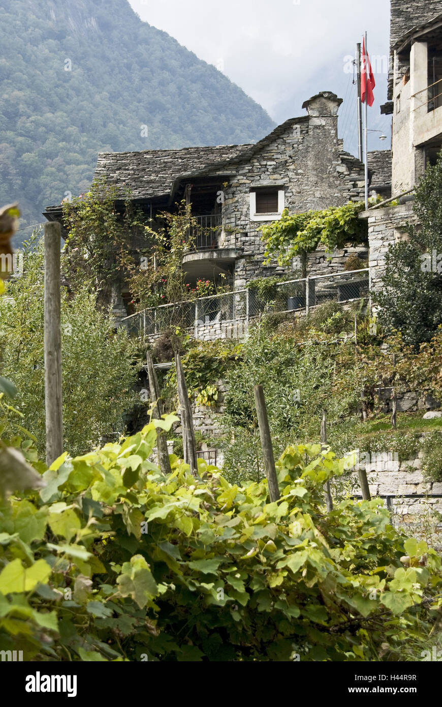 Suisse, Tessin, vallée de Verzasca, Vogorno, maison de village, montagne, Banque D'Images
