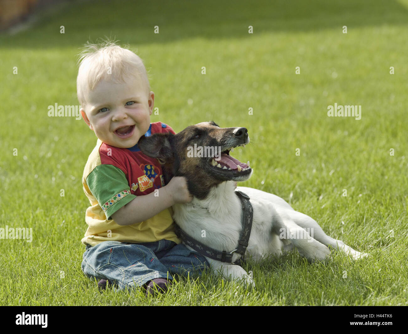 Enfant Chien Pre Jouer Personnes Enfant Garcon Bebe S Asseoir Maintenir Sur L Herbe Des Animaux A Peu Pres De Rire De Risque De Danger Animal De Compagnie Chien Pack Danger De Collision Attente