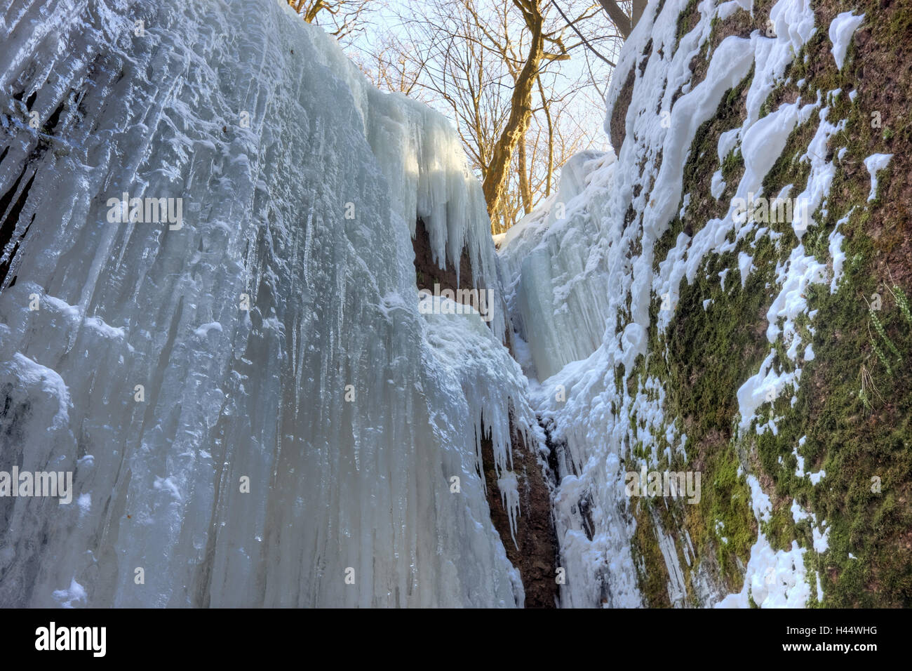 Allemagne, Thuringe, Eisenach, Dragon's Gulch, rock, cascade, a gelé, d'en bas, Banque D'Images