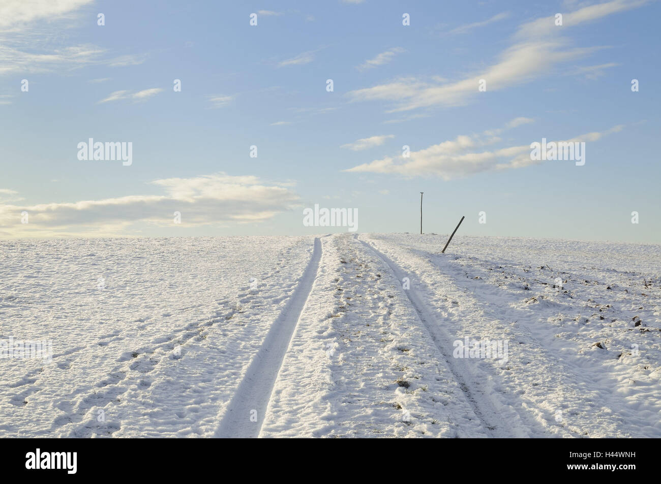 La neige, les pistes de maturité, horizon, hiver, paysage de neige, neige, neige-couvertes, des pistes, des empreintes, des champs, des collines, Paysage, Neige, paysage, nuages, ciel, bleu, Banque D'Images