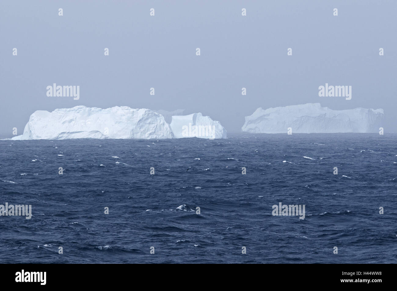 L'Atlantique sud, icebergs, Banque D'Images