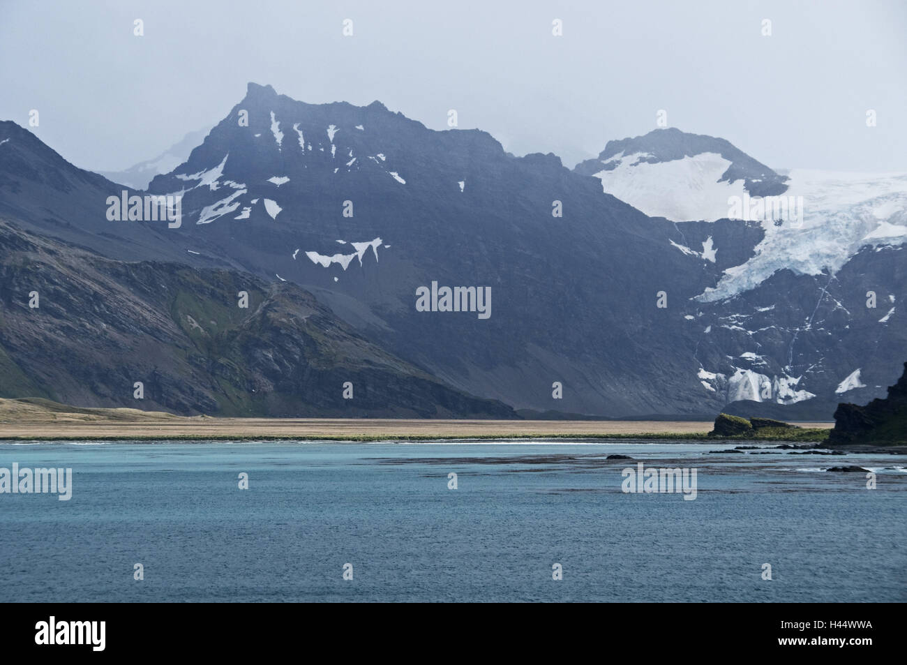 L'Atlantique sud, Südgeorgien, littoral, région montagneuse, Banque D'Images