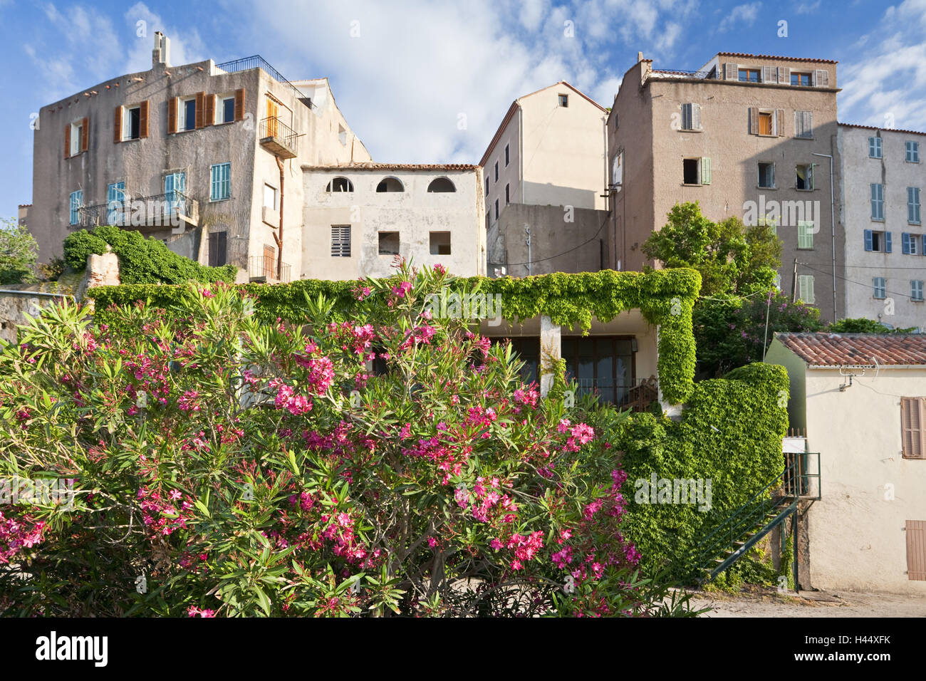 France, Corse, Calvi, la citadelle, Banque D'Images