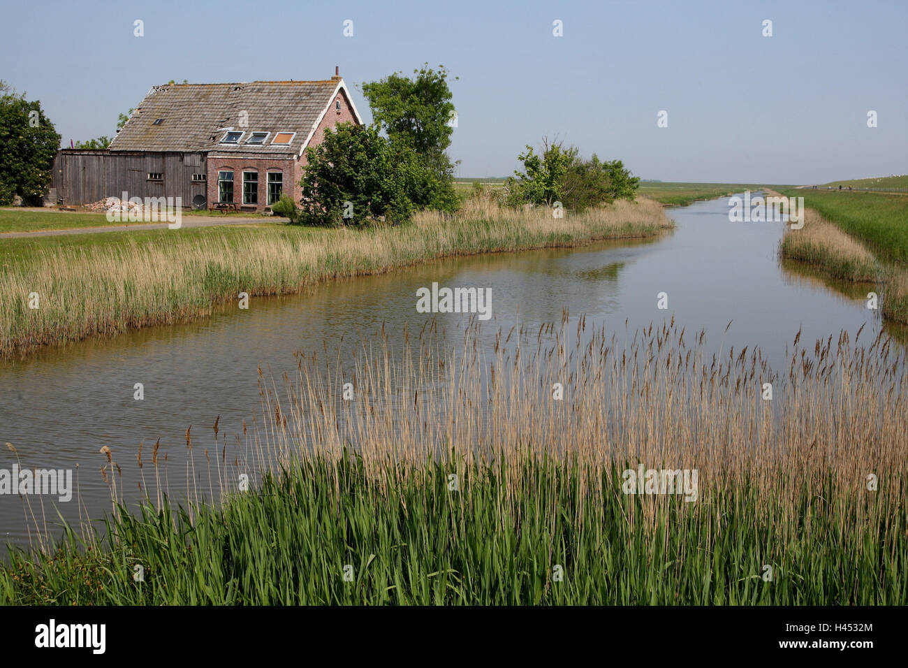 Paysage, maison, l'île de Texel, canal, Banque D'Images