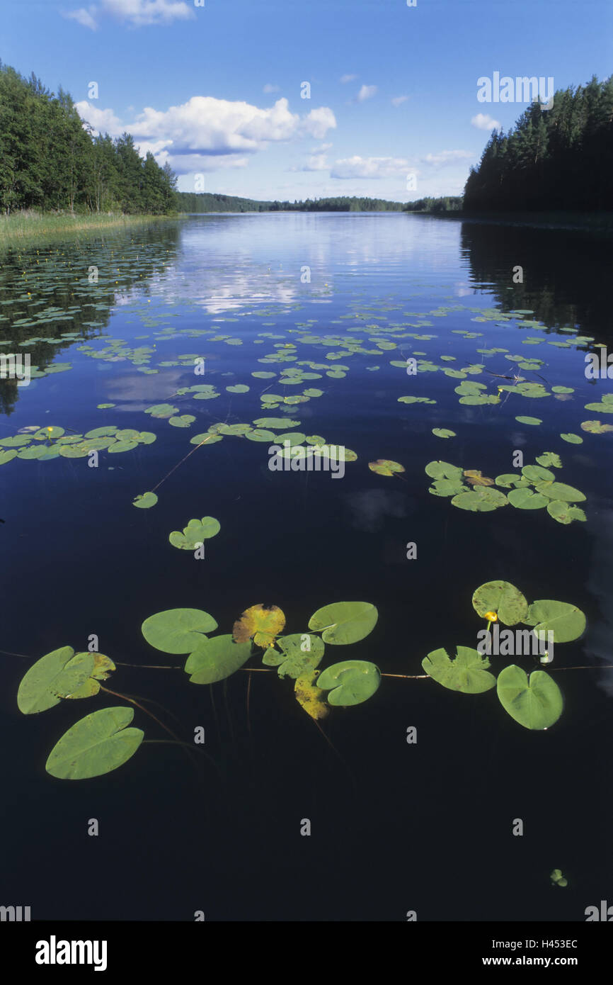 Plaine plaine finlandais pleine, le lac, les îles, le bois, la Finlande, le lac Saimaa, Rantasalmi, Banque D'Images