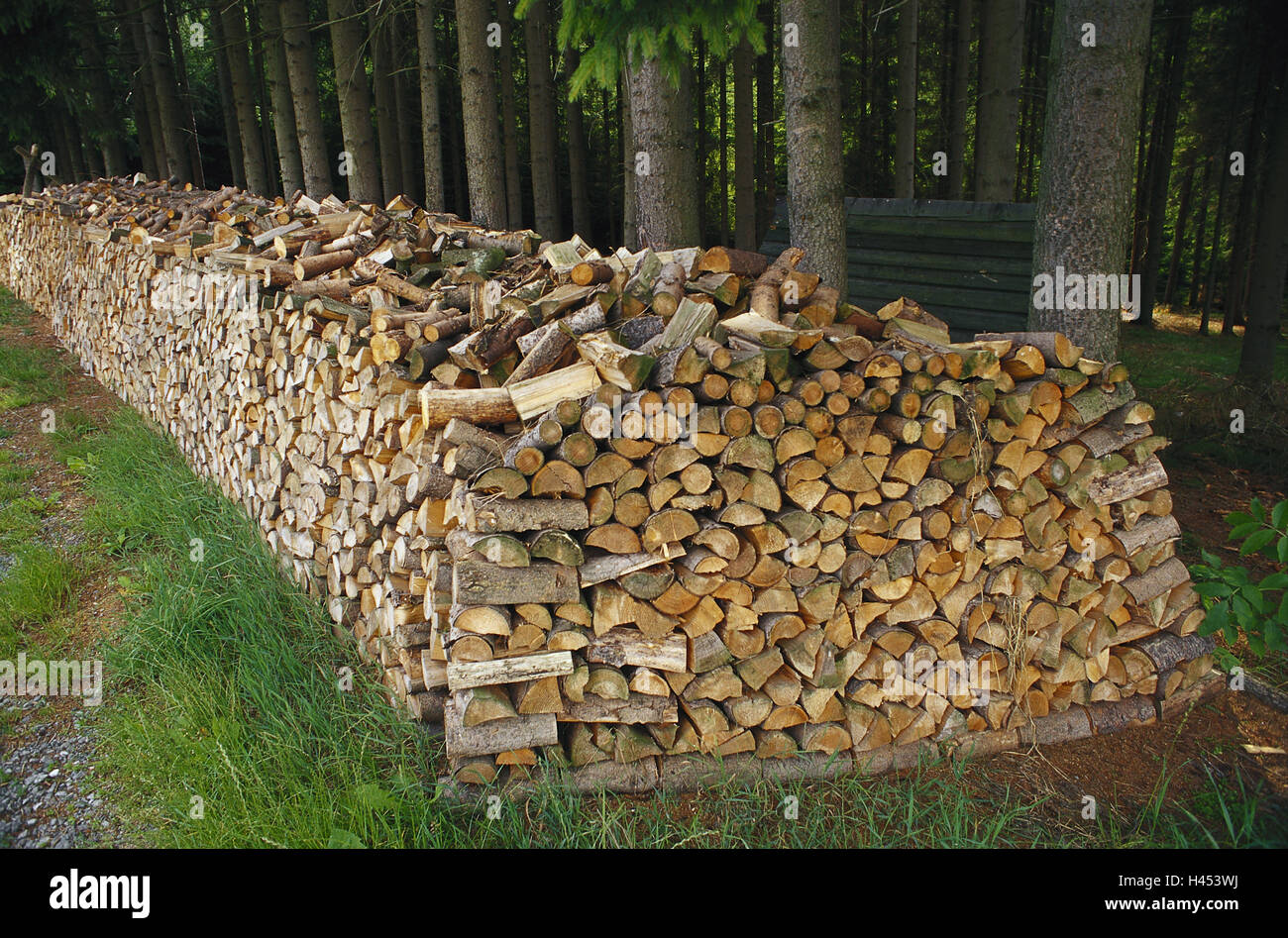 Germany, Bavaria, edge la forêt, bois, lot, forêt de conifères, arbres, bois, bois de chauffage, bois de feu, bois de cheminée, par lots, en bois de sciage en bois, superposés, aufgeschlichtet, personne, carburant, carburant, matériel de chauffage, les matières premières, la croissance, stock, à l'extérieur, Banque D'Images