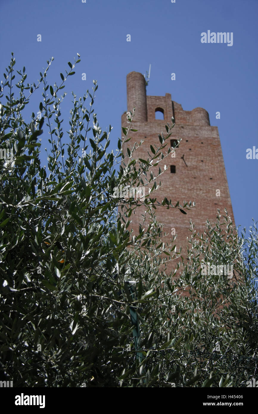 Italie, Toscane, San Miniato, Torre de Frederico, arbustes, détail, ville, la destination, le lieu d'intérêts, d'un bâtiment, architecture, château, tour, Friedrich's tower, tour de briques, ruine, demeure, ciel, bleu, flou, plantes, feuilles, Banque D'Images