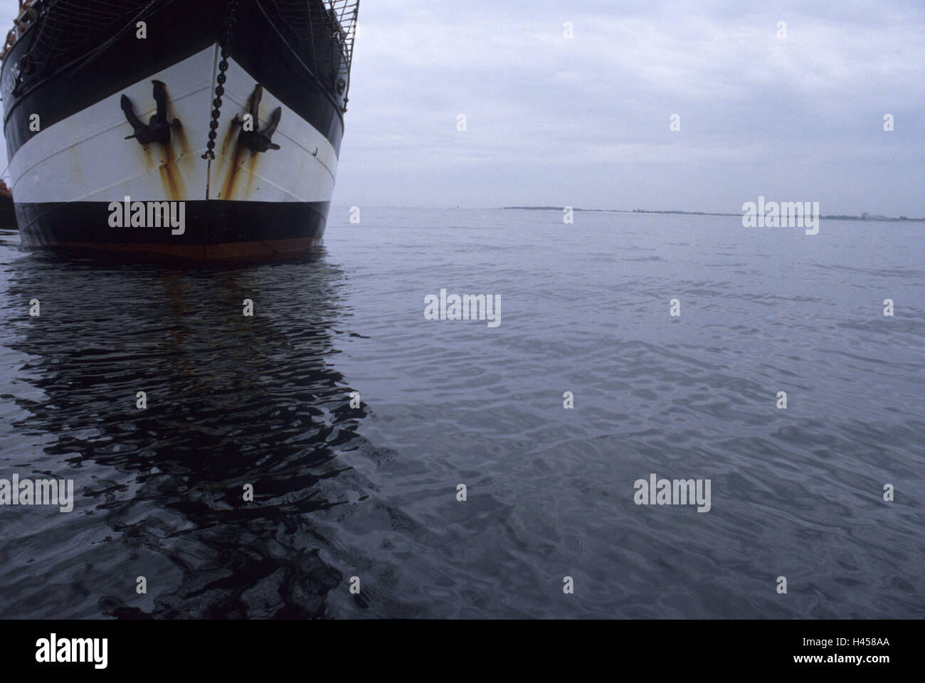 Habitant de la mer Banque de photographies et d'images à haute résolution -  Alamy