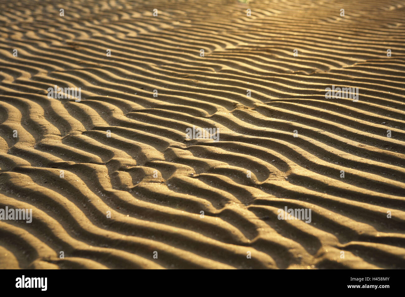 Plage, sable, vague, l'échantillon des cannelures, lumière du soir, plage de sable fin, la couleur de l'humeur, couleur beige, sienna, structure, formes, courbes, lignes ondulées, Rippelmarken, vague des échantillons, des échantillons de la chaîne de montage, le débit d'eau, lignes, nature, déserte, personne, le silence, la solitude, la conception, l'transitoriness, changement, changement, lumière, ombre, d'arrière-plan Banque D'Images