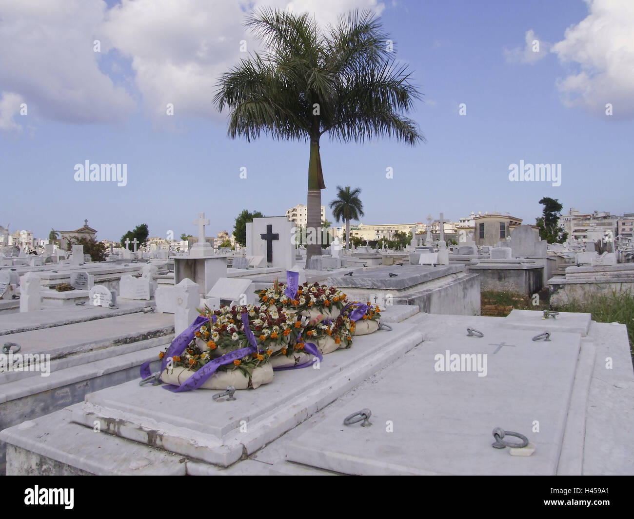 Tombes, cimetière, Cementerio Cristobal, Colon, ciel nuageux, La Havane, Cuba, destination de vacances, destination, les Caraïbes, l'endroit d'intérêt, de la mort, de la tombe, des jantes, des couronnes de fleurs, pierres tombales, marbre blanc, tombeau des croix, des tombes, des disques tombe, chagrin, palmiers, démission, mémoire, transitoriness, personne, nuages, ciel nuageux, Banque D'Images