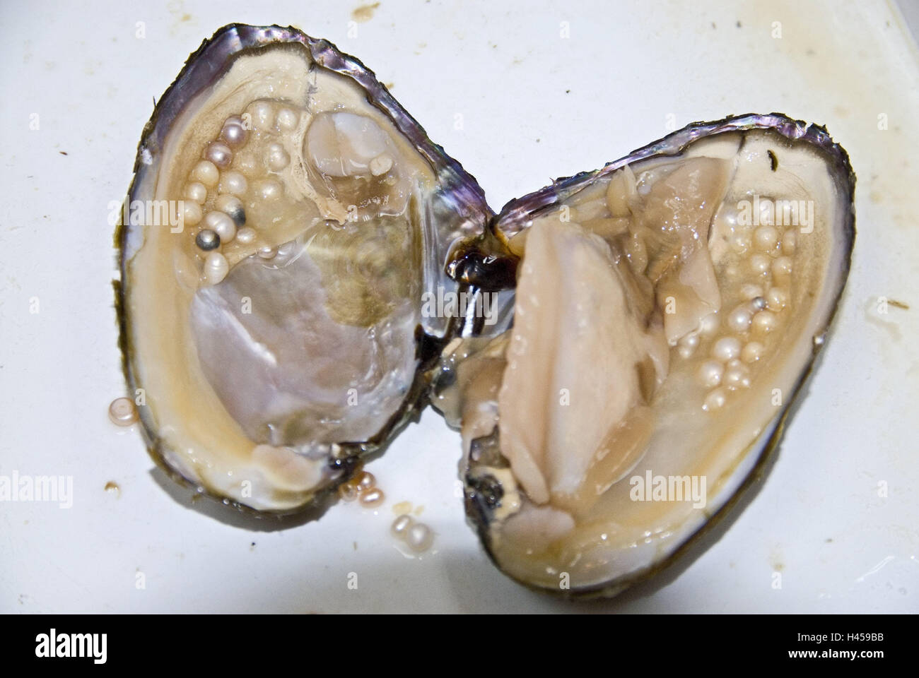 Mussel with pearls Banque de photographies et d'images à haute résolution -  Alamy