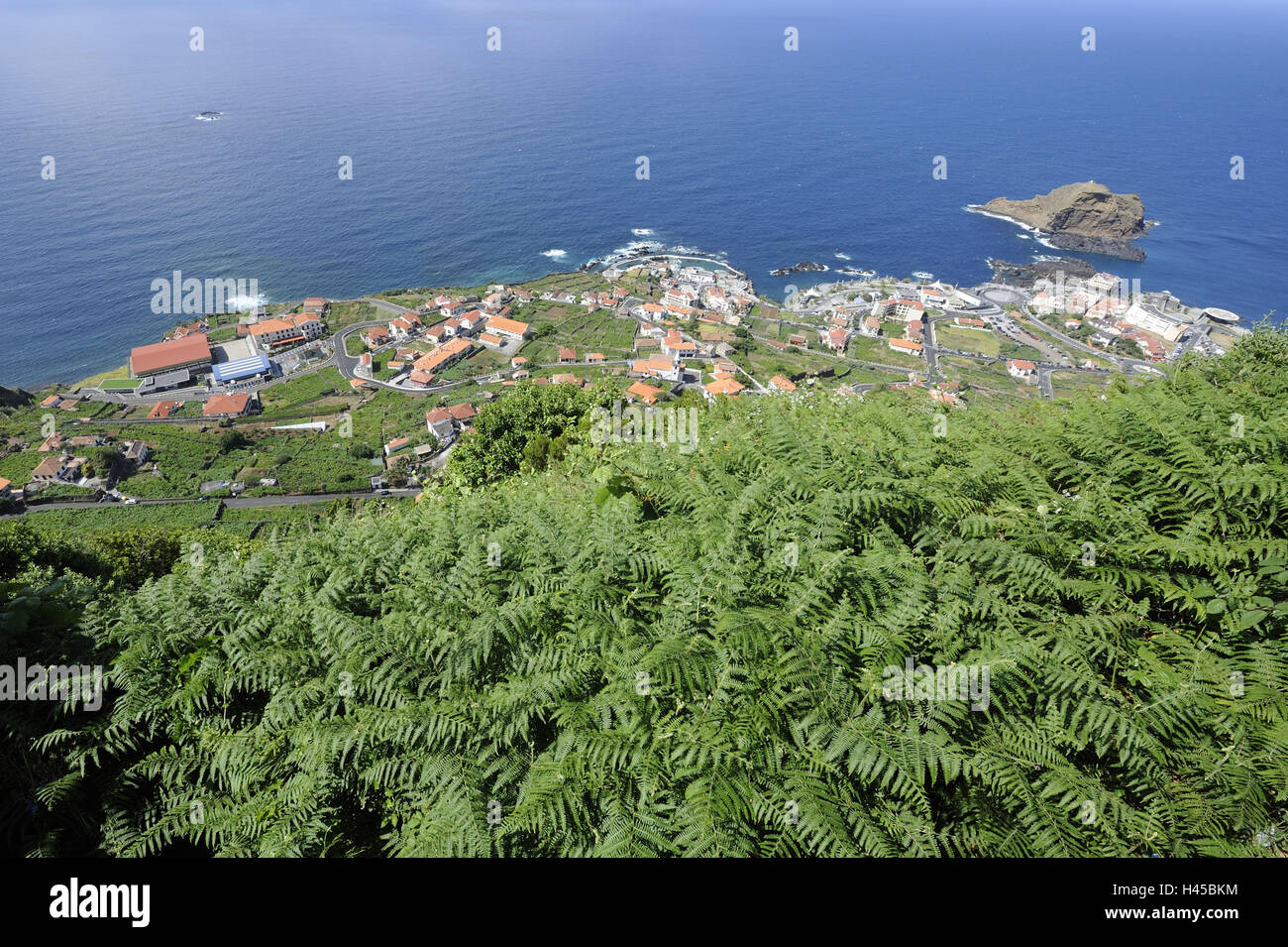 Portugal, Madère, l'île de port Moniz, aperçu local, Banque D'Images