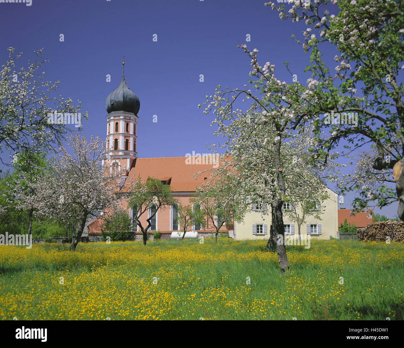 Allemagne, Bavière, maison Gnotz, église catholique St Georg, église, religion, foi, christianisme, printemps, arbres, prairie, fleurs, clocher, tour, aperçu, déserte, à l'extérieur, l'architecture, l'endroit d'intérêt, de la construction, de l'église, construction, sacré Banque D'Images