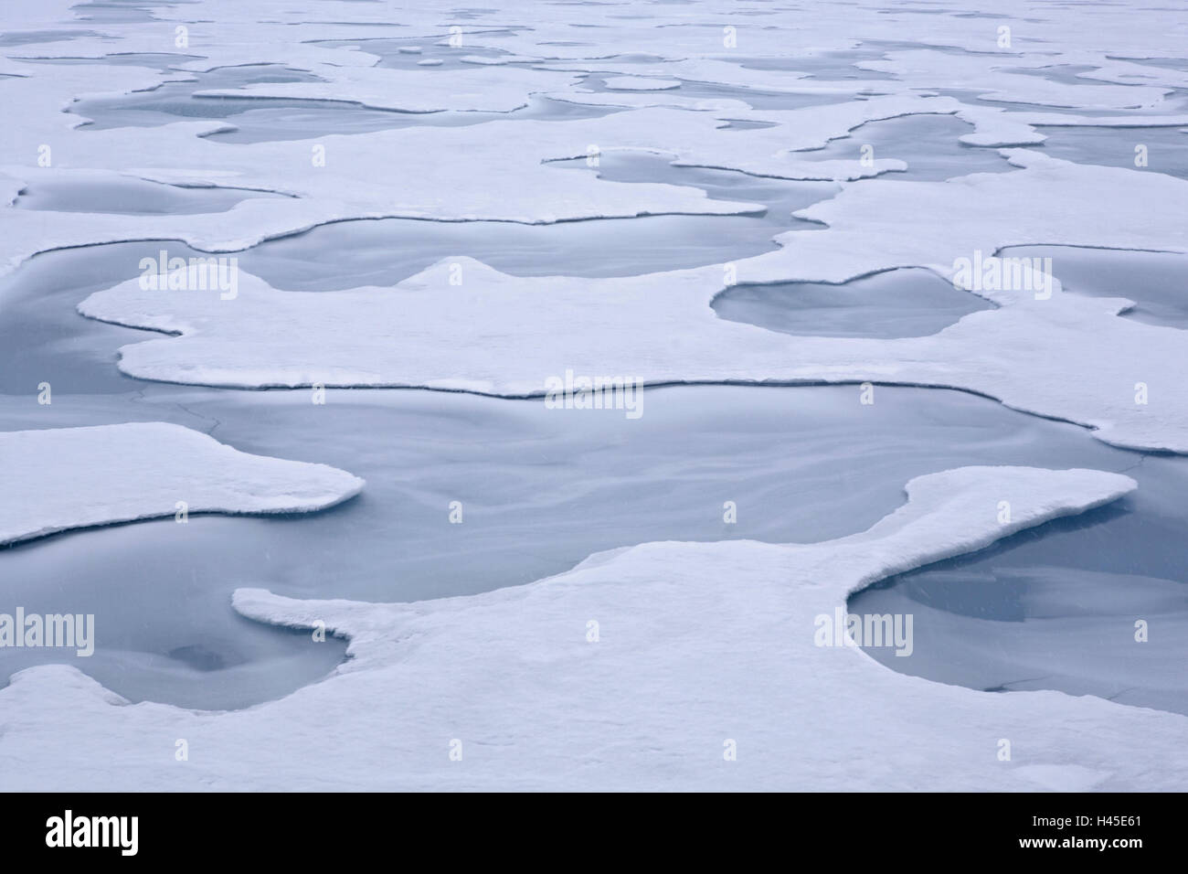 Océan Arctique, banquise, glaçure intérieure, pour un usage éditorial uniquement, expédition, Alfred-Wegener-Institut, la recherche polaire, Banque D'Images
